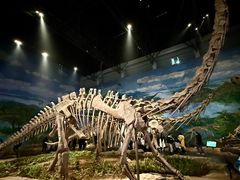 -自贡恐龙博物馆