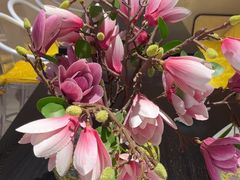 -宫事颐庭·老佛爷贵寿下午茶(颐和园店)