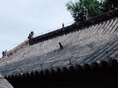 -泰山风景名胜区-普照寺