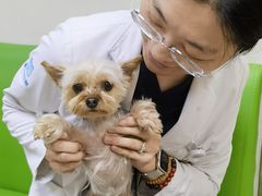 -美联众合动物医院·24h转诊中心