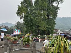 -崇州市街子古镇