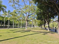 -厦门大学(思明校区)
