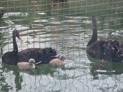 -荆州中山公园动物园