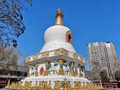 -护国法轮寺