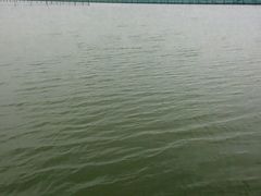 android_upload_pic-泗洪洪泽湖湿地景区
