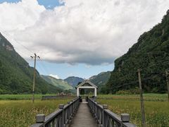 -沧源崖画