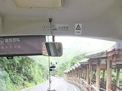-中国大熊猫保护研究中心雅安碧峰峡基地