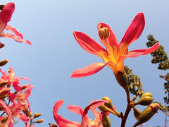 iphone_upload_pic-广州大学(桂花岗校区)