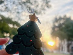 -1点点(新镇路店)