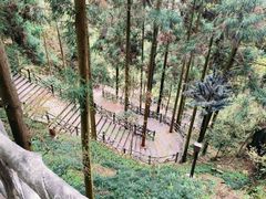 -刘伯温故里景区百丈漈