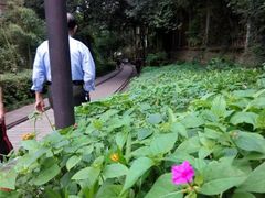 -铁路文化公园