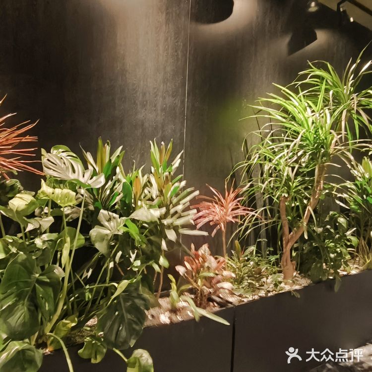 安静有情调的聚集地