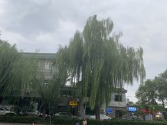 -什刹海