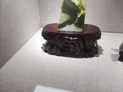 -陕西自然博物馆