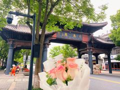-乌镇景区