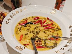 老坛酸菜鲈鱼-蓉城小馆(科兴店)