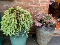 -青韵台陶艺Diy(永庆坊店)