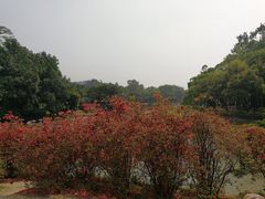-华南国家植物园-售票处