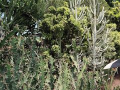 -南通洲际绿博园