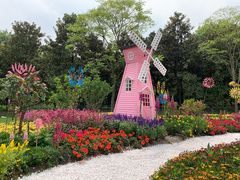 -上海共青森林公园