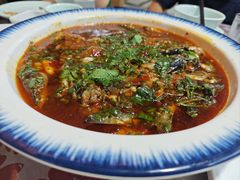 -源泉冷水鱼庄(小鱼洞店)