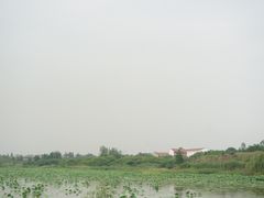 -东湖落雁景区