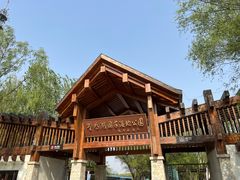 -野鸭湖国家湿地公园