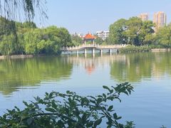 -沙市市中山公园