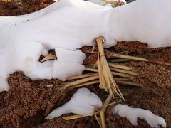 -葫芦古镇关东民俗雪乡