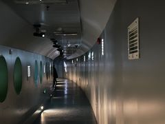 -白鹤梁水下博物馆