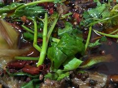 醉牛肉-无味饭店(九眼桥商业文化广场店)