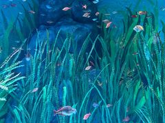 -上海海洋水族馆