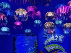 -欢乐海岸海洋奇梦馆