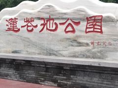 -莲花池公园