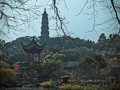 -顺峰山公园