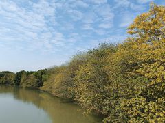 -海珠湖公园
