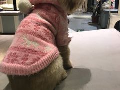 -小时光咖啡馆(开森度假森林店)
