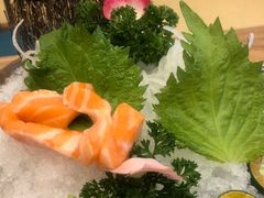 -一本钓鲔鱼屋