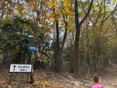 -虞山风景区