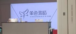 -单色舞蹈