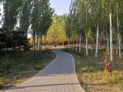 -东郊湿地公园