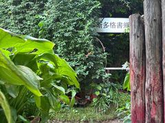 -斯多格书乡(北京大学畅春园店)