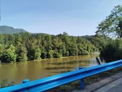 -中国大熊猫保护研究中心雅安碧峰峡基地