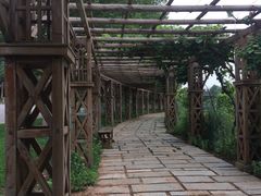 -北京张裕爱斐堡酒庄