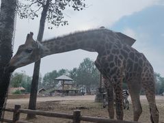 -大连森林动物园