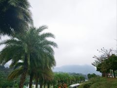 -白石龙音乐公园
