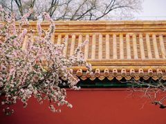 -故宫博物院(故宫)