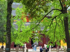 -西园戒幢律寺
