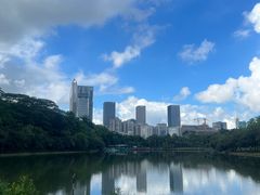 -莲花山公园