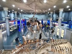 -国家自然博物馆